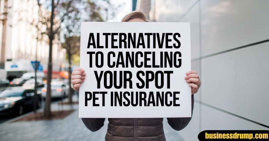 How To Cancel Spot Pet Insurance