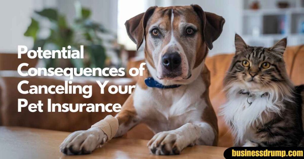 How To Cancel Spot Pet Insurance