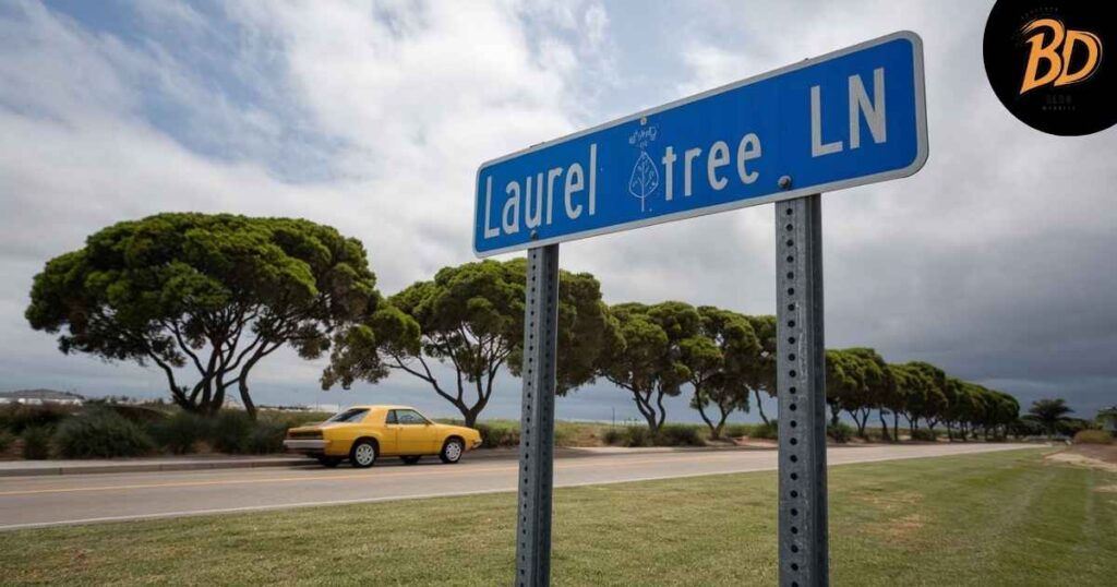 Laurel Tree LN Carlsbad Charge on Your Credit Card